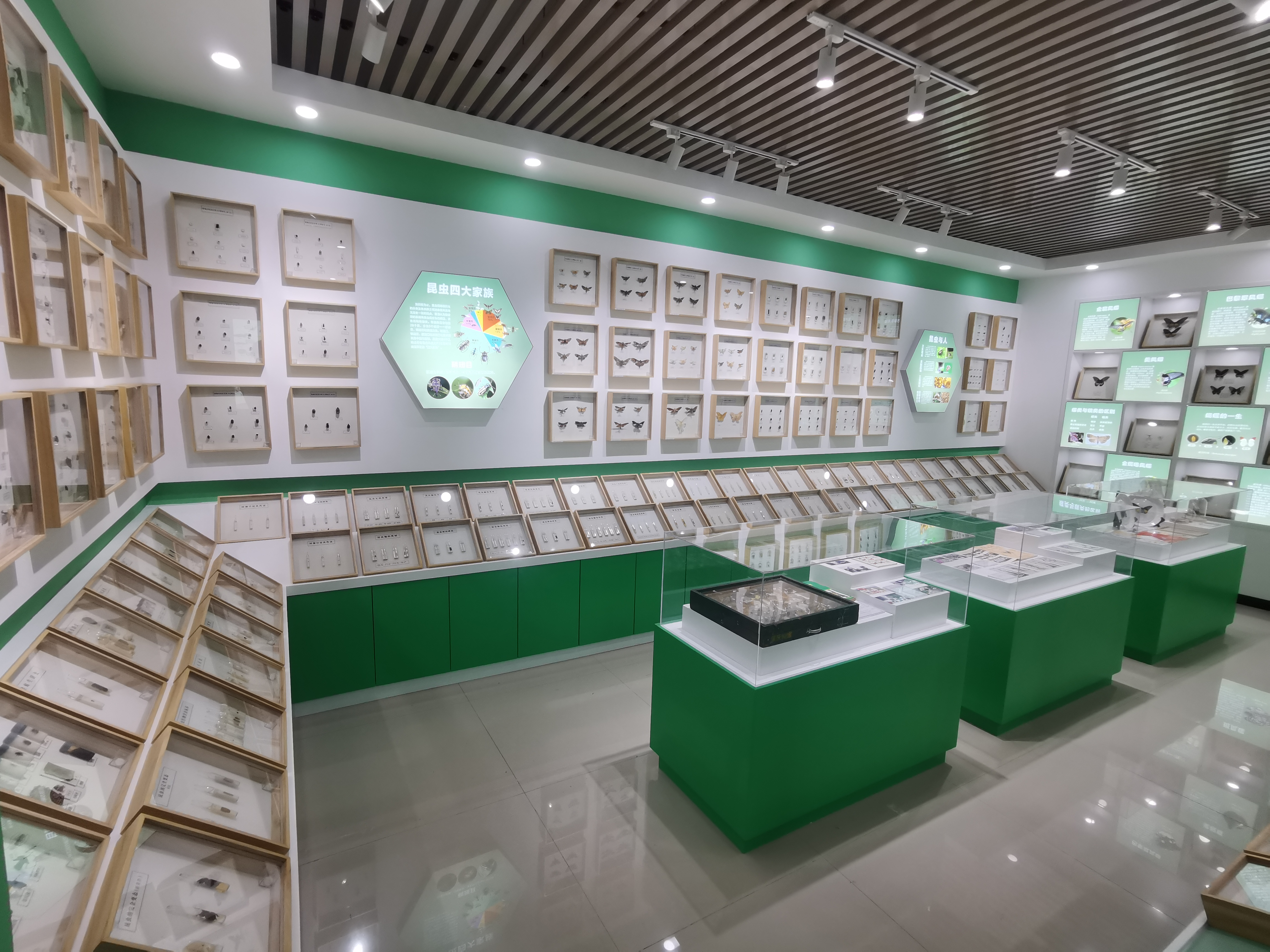 动物标本室-肇庆学院