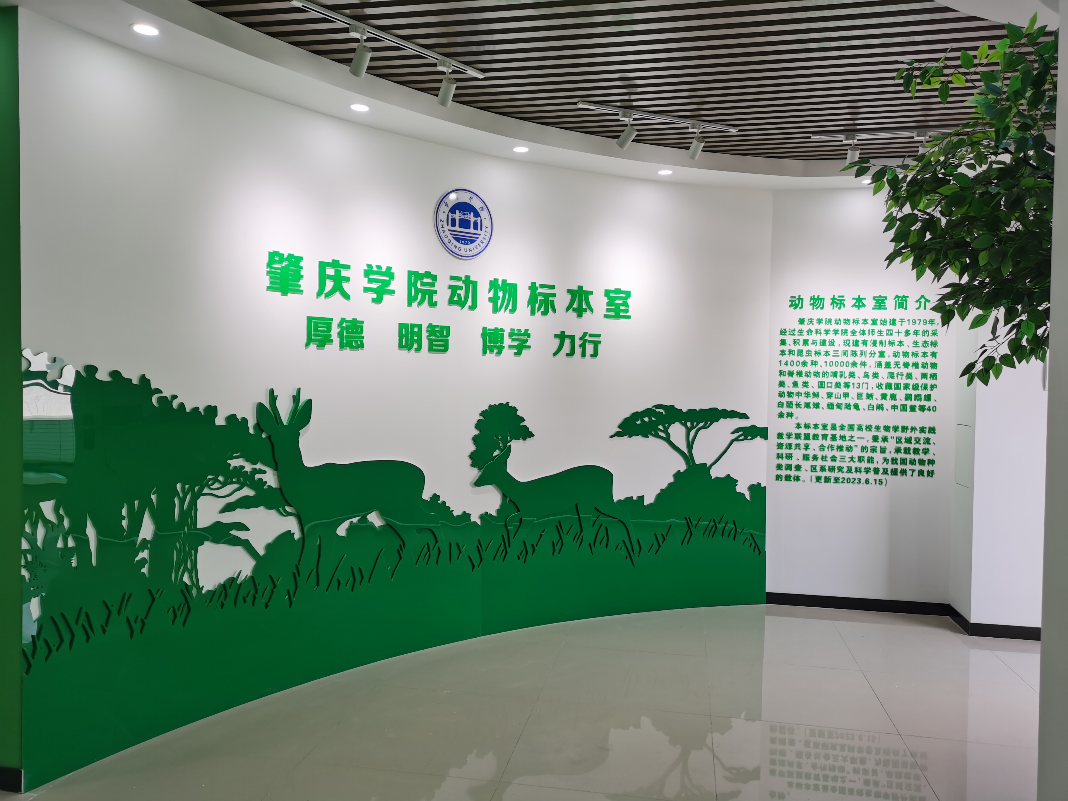 动物标本室-肇庆学院